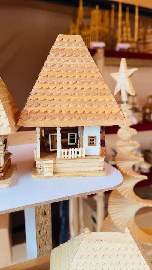Târgu Jiu Leto House 아파트 외부 사진